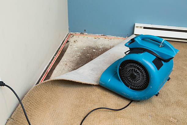  Lorenzo, TX Water damage restoration Pros